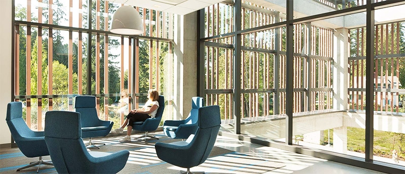 Creating the workplace of the future through biophilic design | iiSPACES